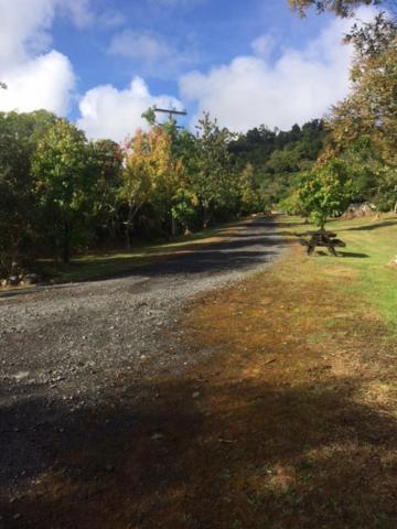 Vila Tui Glen Raurimu Exteriér fotografie